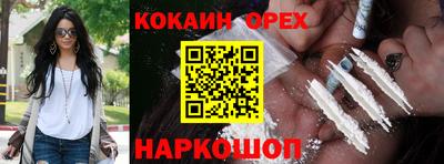стафф Донской