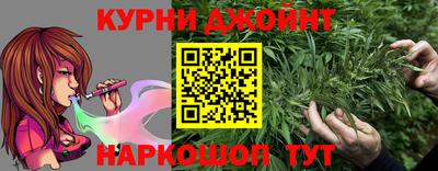 гашик Дубна