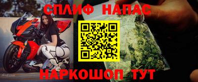 гашик Дубна