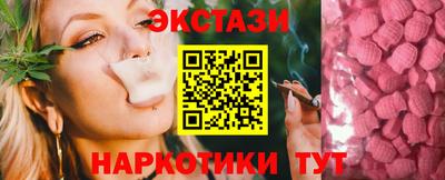 стафф Донской
