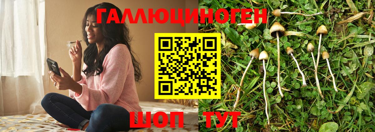 Псилоцибиновые грибы прущие грибы Арзамас